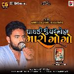 Paghadi Nu Parmon Maro Gogo