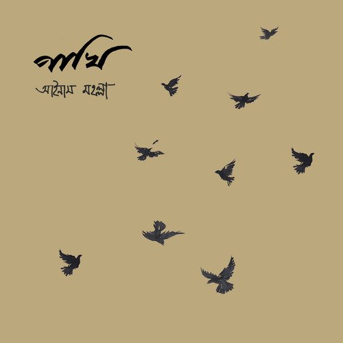 Pakhi