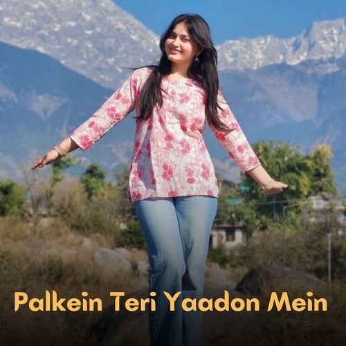 Palkein Teri Yaadon Mein