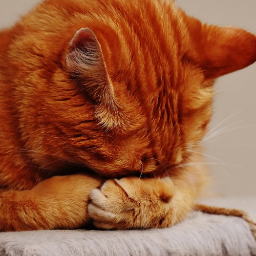 Sounds of Nature - Comforting Music for Chilling Out