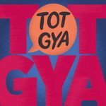 Tot Gya