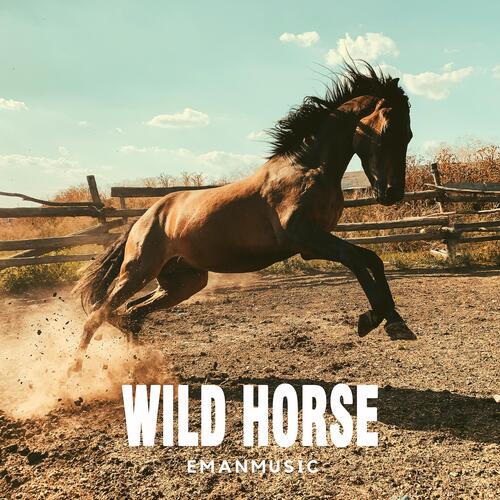 Wild Horse