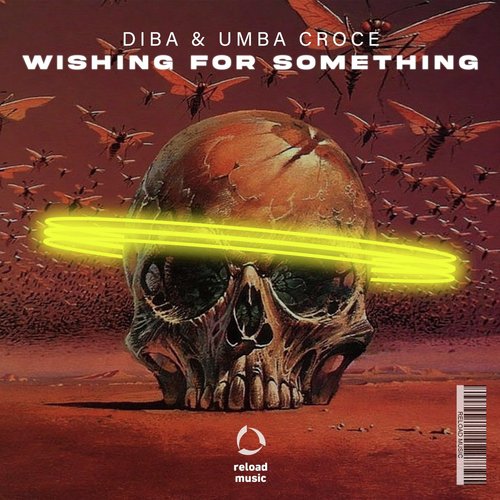 Wishing for Something_poster_image