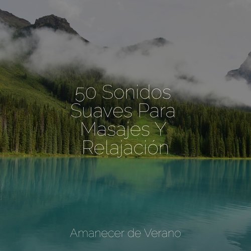 50 Sonidos Suaves Para Masajes Y Relajación