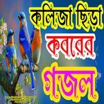 Aj Na Hoy Kal Tumi Jaiba Kobore - Cute Voice - Male Version