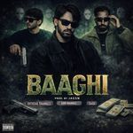 BAAGHI