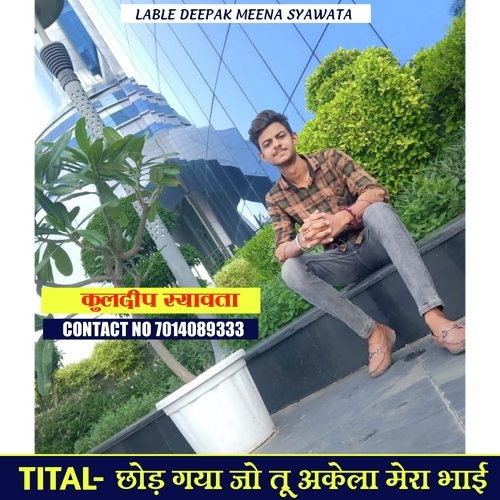 Chod gya jo tu akela mera bhai