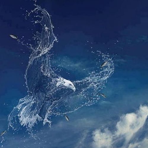 Eagles cover art