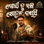 Gori Tu Kasi Sohala Bayasi artwork