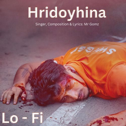 Hridoyhina  Lo - Fi