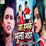 Ja Hamke Bhula Jaiha