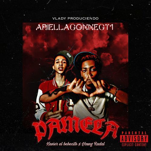 Pamela cover art