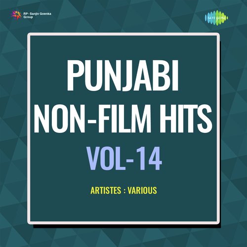 Punjabi Non - Film Hits Vol - 14