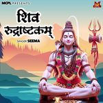 Shiv Rudrashtakam