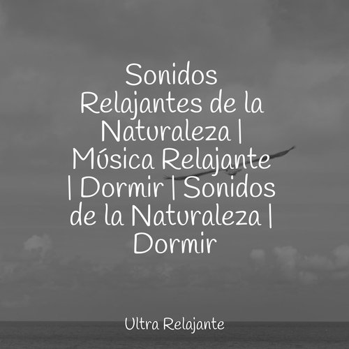 Sonidos Relajantes de la Naturaleza | Música Relajante | Dormir | Sonidos de la Naturaleza | Dormir