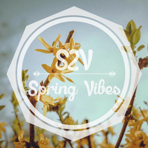 Spring Vibes cover art