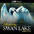 Swan Lake, Op. 20: No. 20 Danse Hongroise: Czardas - Moderato Assai