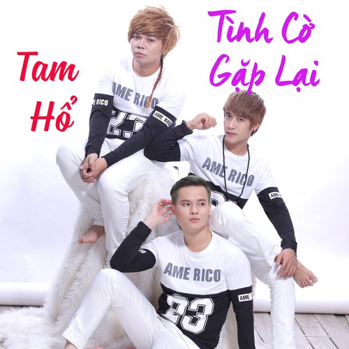 Tinh Co Gap Lai