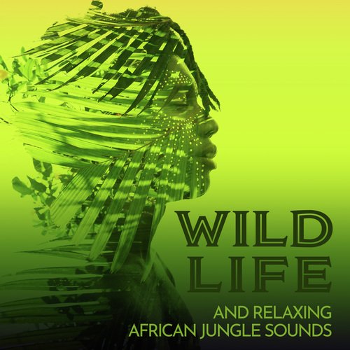 Wild Life and Relaxing African Jungle Sounds (Sound Effect for African Therapy, Mindfulness and Relaxation)_poster_image