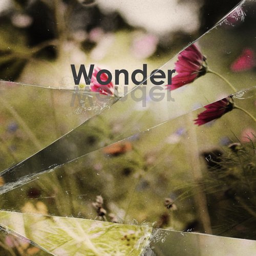 Wonder cover art