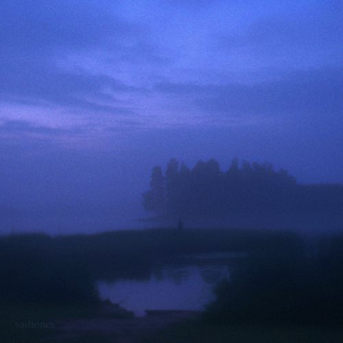 meadow (speed up)
