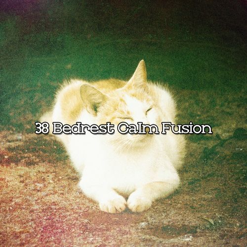 38 Bedrest Calm Fusion_poster_image