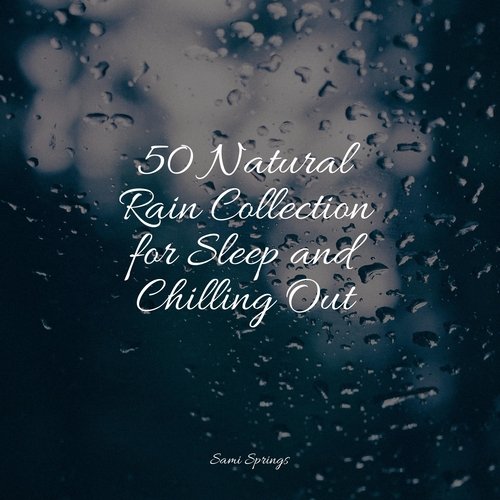 50 Natural Rain Collection for Sleep and Chilling Out_poster_image