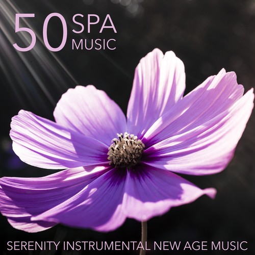 Buddha Zen Spa cover art