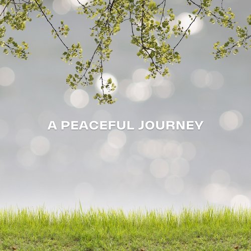 A Peaceful Journey_poster_image