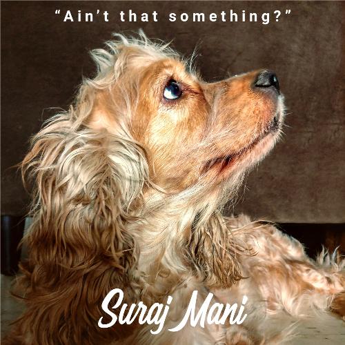 Ain't That Something?_poster_image