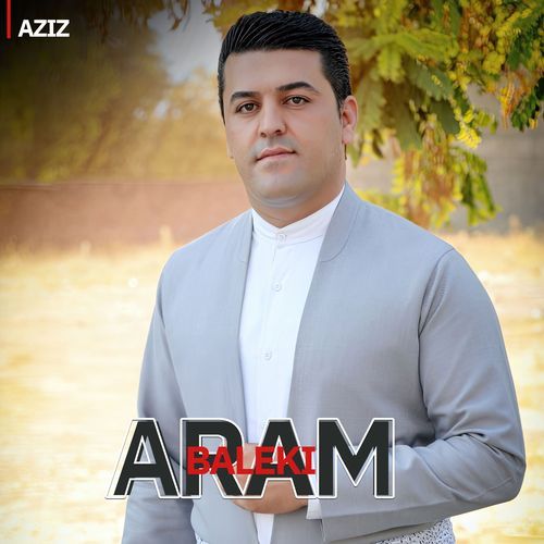 Arambaleki garyan shad cover art