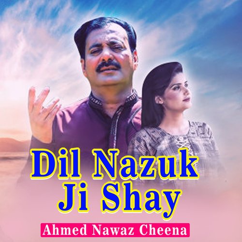 Dil Nazuk Ji Shay