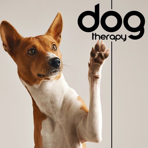 Pet Care Club cover art