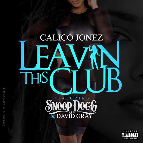 Calico Jonez_poster_image