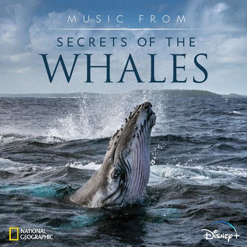 Majestic Dances (From "Secrets of the Whales"/Score) cover art