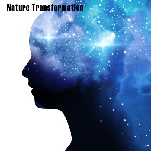 Miracle Meditation cover art