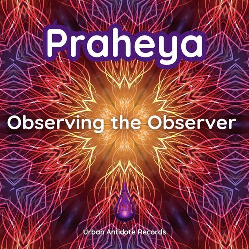 Observing the Observer