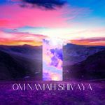 Om Namah Shivaya