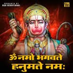 Om Namo Bhagwate Hanumate Namah