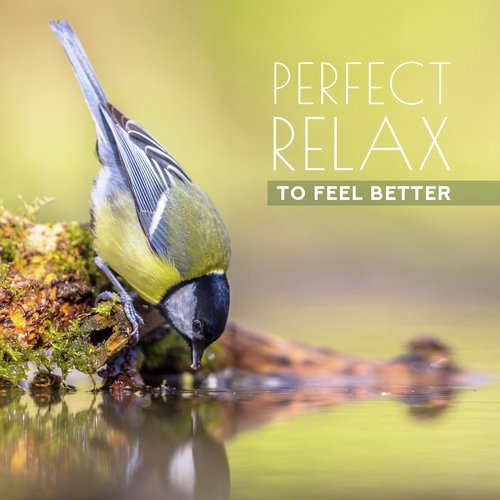 Close to Nature cover art