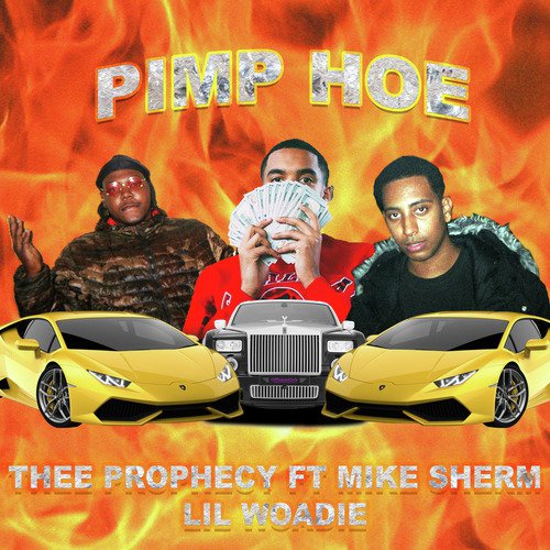 Pimp Hoe_poster_image