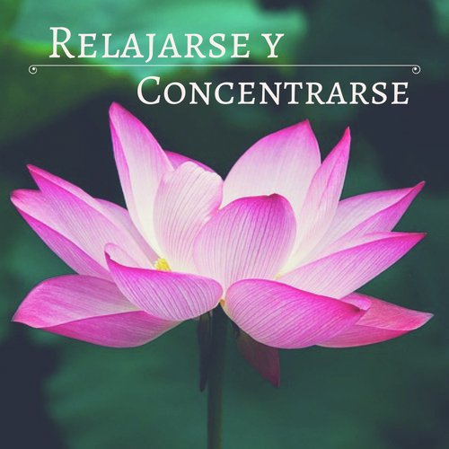 Meditación Bajo la Lluvia cover art