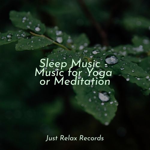 Sleep Music - Music for Yoga or Meditation_poster_image