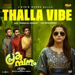 Thalla Vibe (From "Prakambanam")