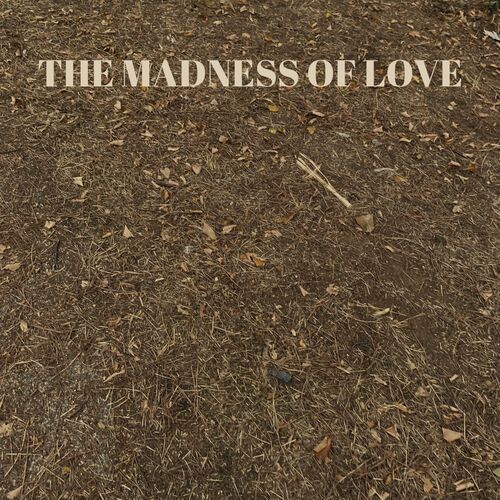 The madness of love_poster_image