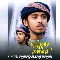 Valobashi Provu Tomare