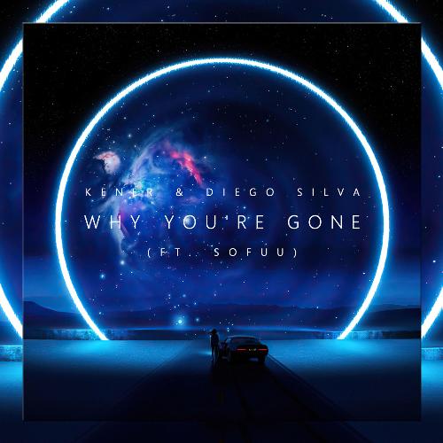 Why You're Gone (feat. Sofuu)