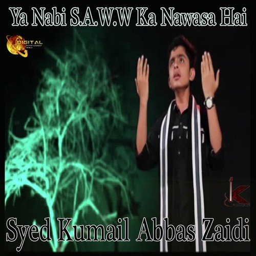 Syed Kumail Abbas Zaidi