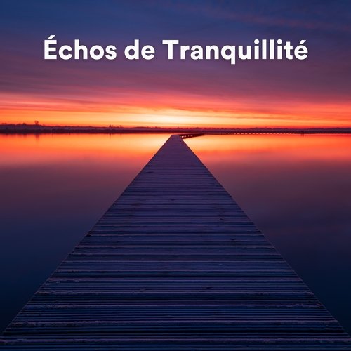 Échos de Tranquillité_poster_image