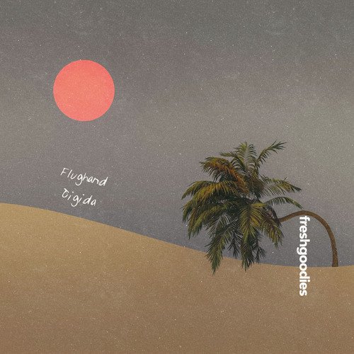 tigida cover art